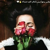 fatema8434