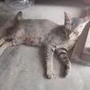 nana.yuliana65