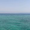 abou_ghazi71