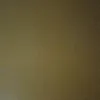 _elis1602
