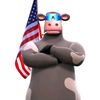_countrytiktok_