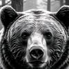 bear5054
