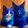 𝓜𝓪𝔁💙 & 𝓛𝓾𝓷𝓪💞