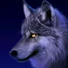 biellobo234