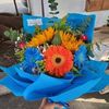 anavera_2022