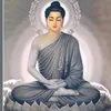 canhhoayeu_1978