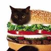 burgerbuttmeow