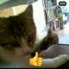 ubvrcw8vbn