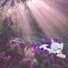 psychward_perspective