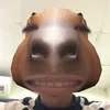 ga_kitn