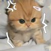 user_pipeh