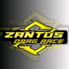 zantos_mt