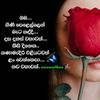 254443554sudunona