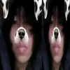 iblamedynozx