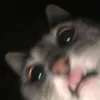 4_mati_8