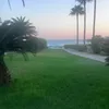 melissafreyx