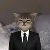 dangvu_.i