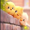 chotababy33