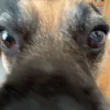 jackpegler