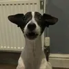 charliecurry867