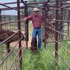 kuntry12345779