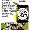 fatoufall240