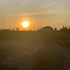 pedangcute96