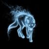 bluefox7600