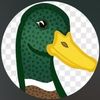 duckboy4828