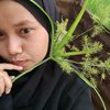 ummashehna