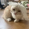 re_nhat_tiktok15