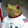 cosmicfrogger