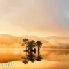 longhoi3