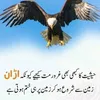 user21717saleem
