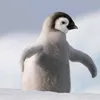 pfengwin