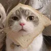 peanutzissad