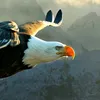 jovanm002