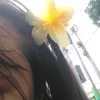 poknatkaba1
