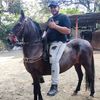 matias212018