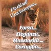 m.lushkaj1