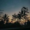 falah_422
