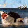 renzomelchorgeron
