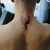 frankanton7