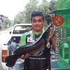 dy2xp41afssp