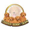 Cooper&Bunny Farm