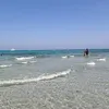 giomaurii