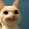 ayyjpms