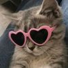luna_thecatmeow