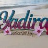 _yady12