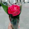 user4128099705546